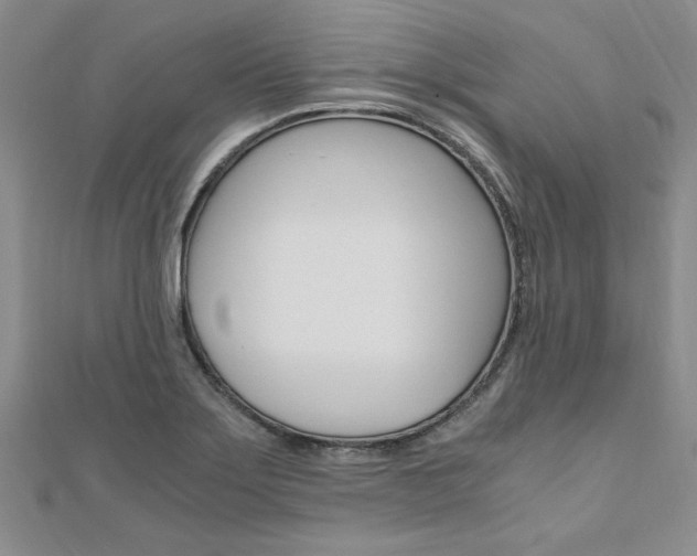 X0000110891275200906180958