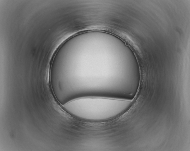 X0000110891276200906180958