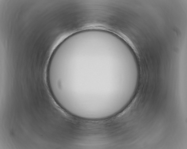 X0000110891277200906180958