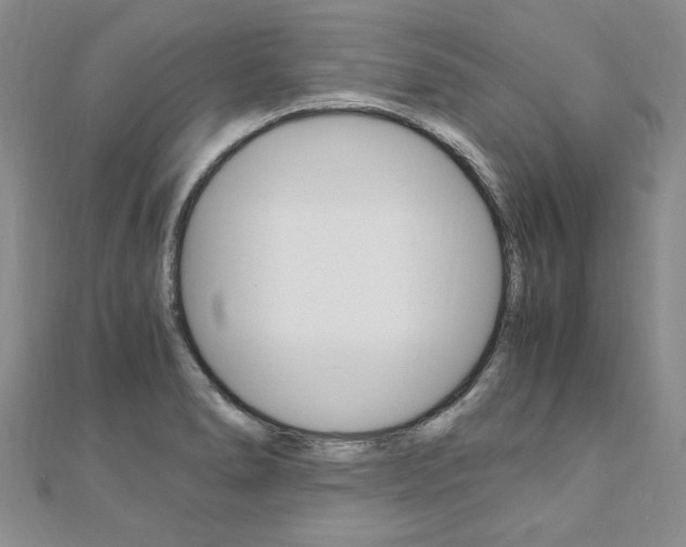 X0000110891278200906180958