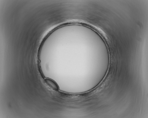 X0000110891279200906180958