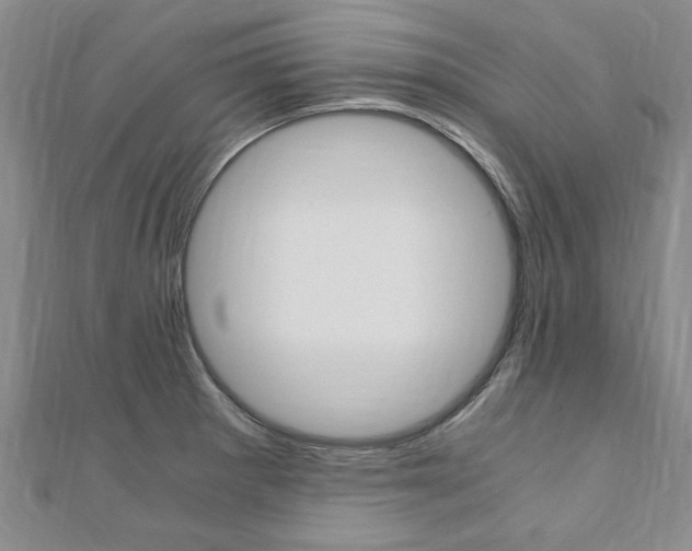 X0000110891281200906180958