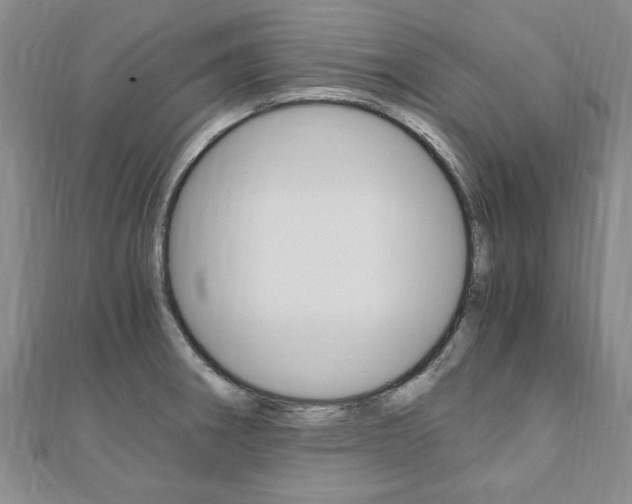 X0000110891282200906180958