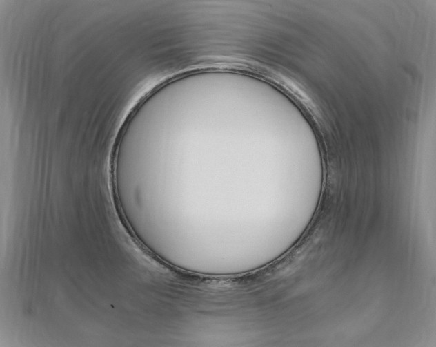 X0000110891283200906180958