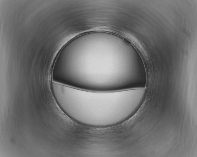 X0000110891284200906180958