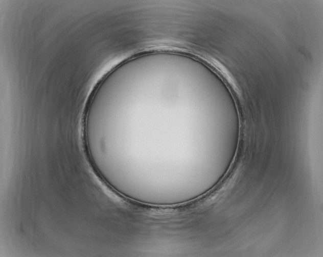 X0000110891285200906180958