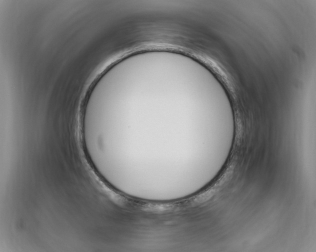 X0000110891286200906180958