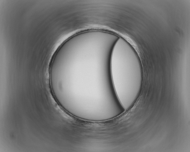 X0000110891287200906180958