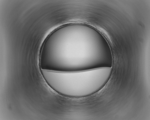 X0000110891288200906180958