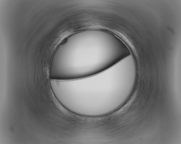 X0000110891289200906180958