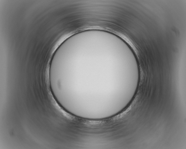 X0000110891290200906180958
