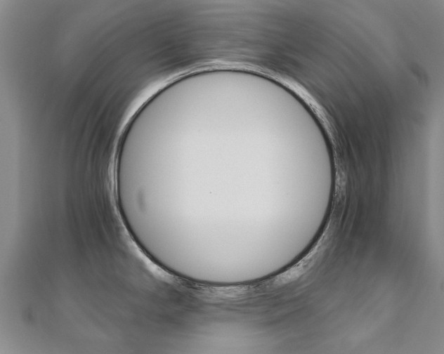 X0000110891294200906180958