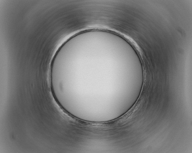 X0000110891295200906180958