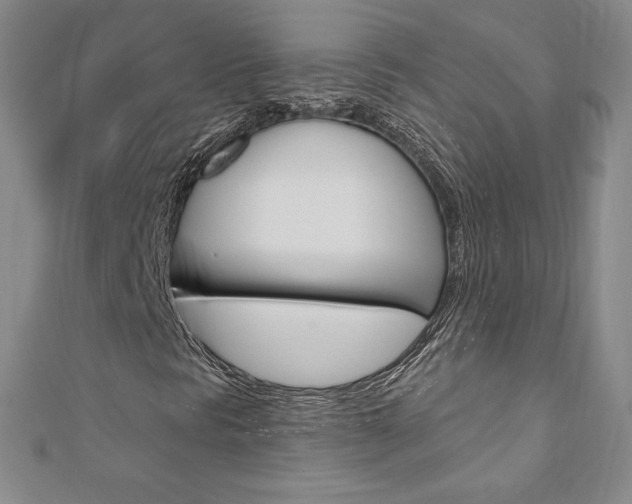 X0000110891297200906180957