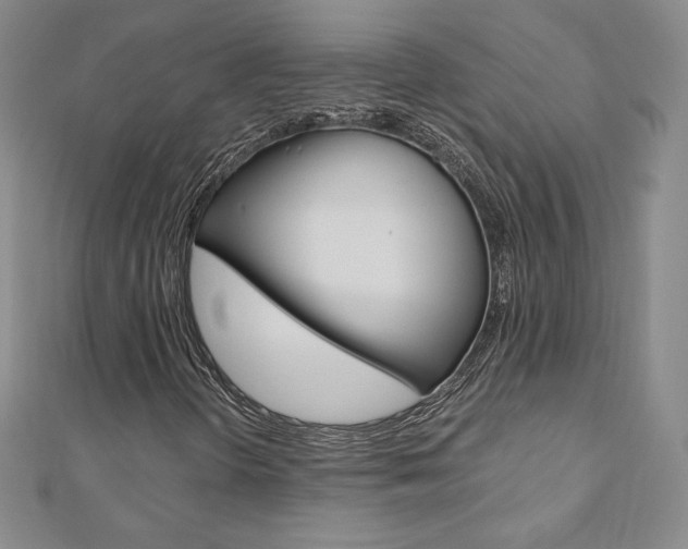 X0000110891298200906180957