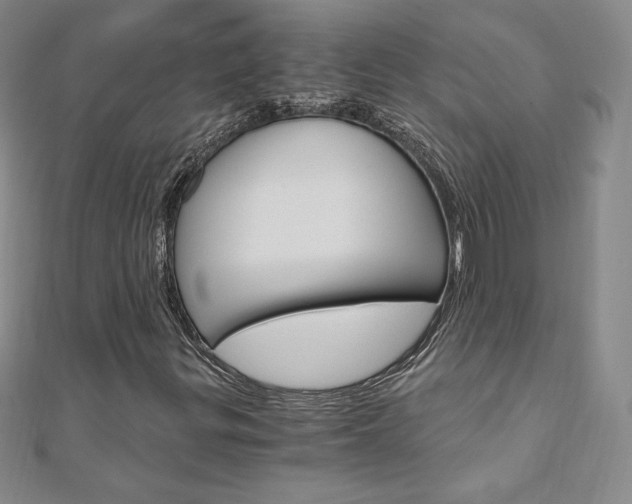X0000110891299200906180957