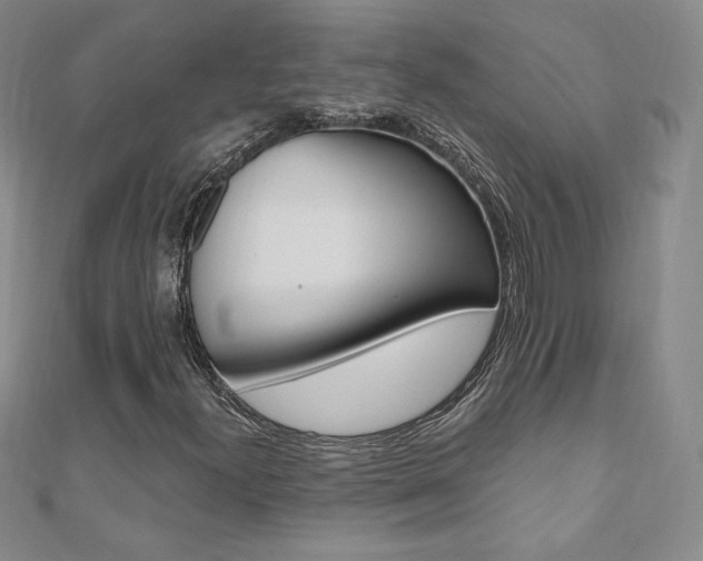 X0000110891300200906180957