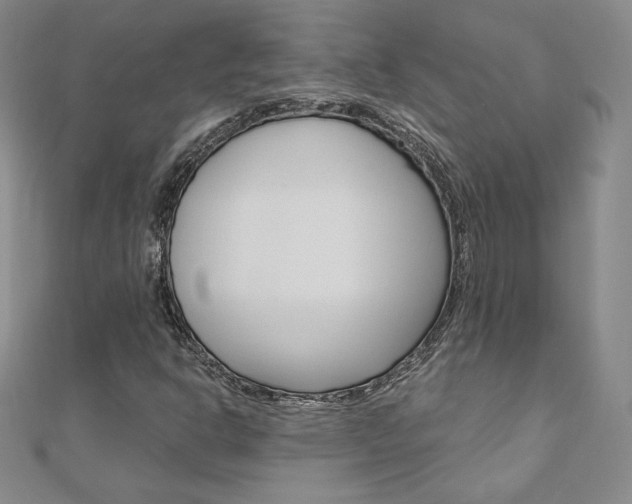 X0000110891302200906180957