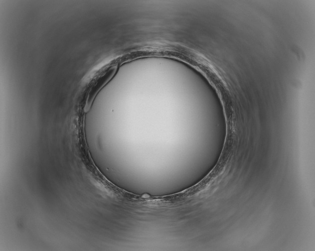 X0000110891304200906180957