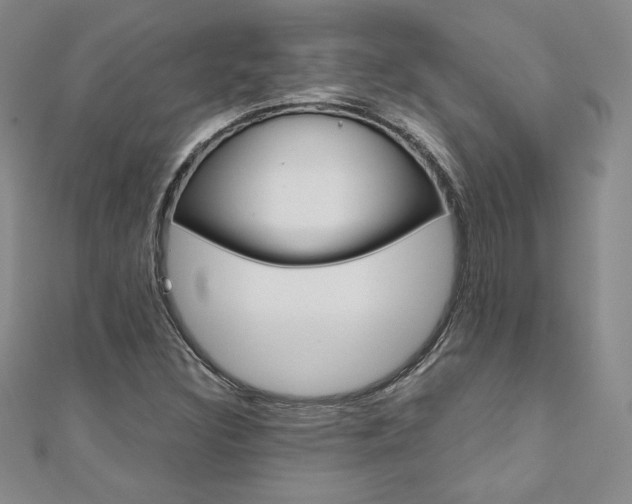 X0000110891308200906180957