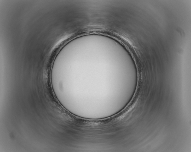 X0000110891309200906180957