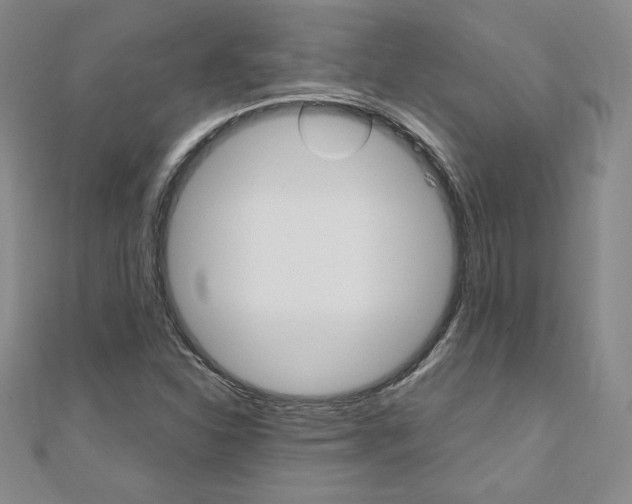 X0000110891310200906180957