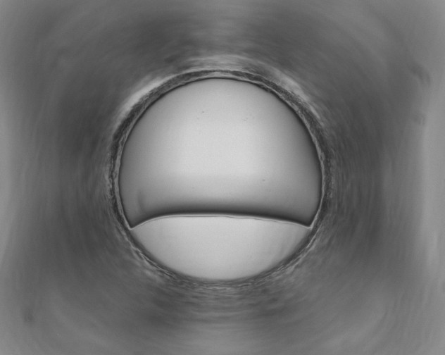 X0000110891312200906180957