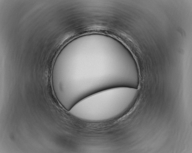X0000110891313200906180957
