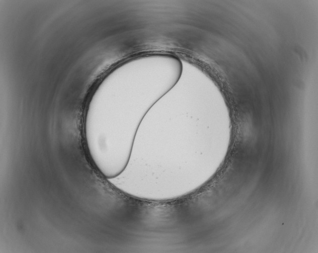 X0000110891314200906180957