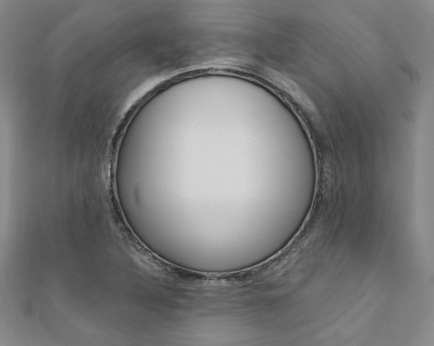 X0000110891316200906180957