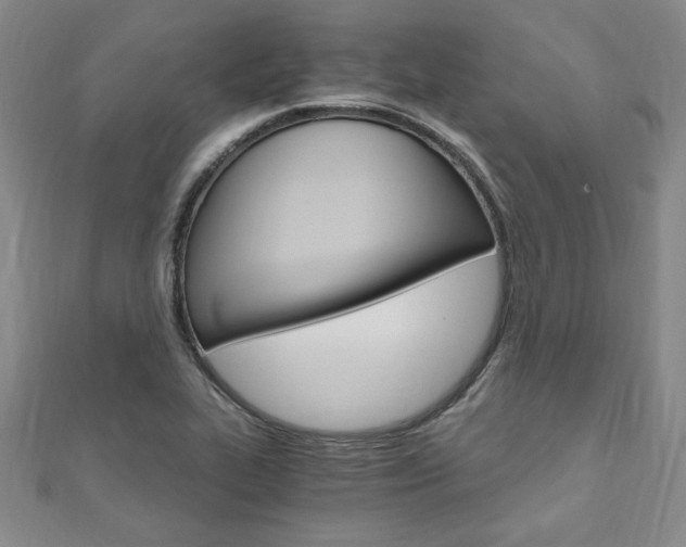 X0000110891319200906180958