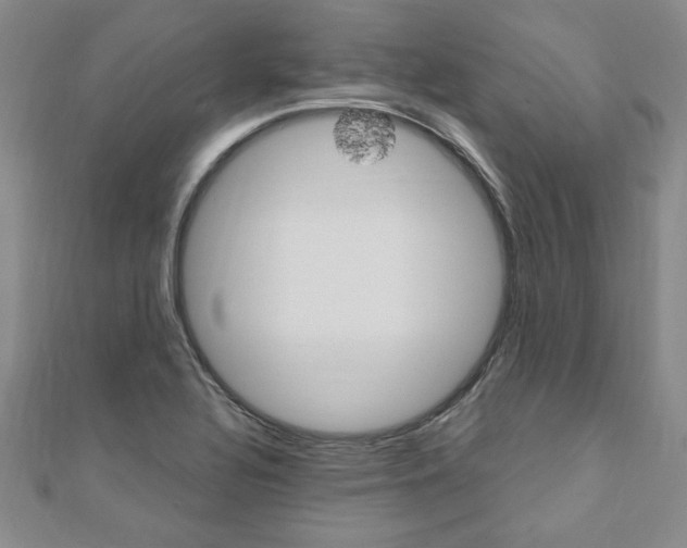 X0000110891320200906180958