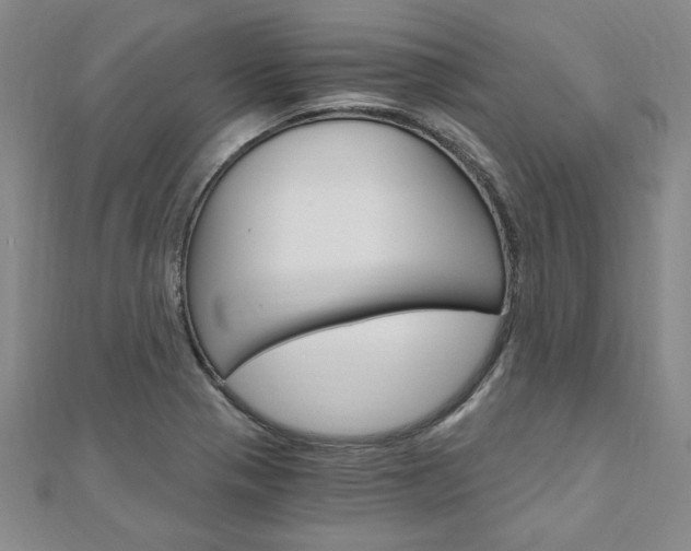 X0000110891321200906180958