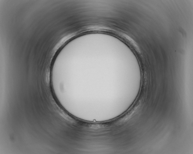 X0000110891322200906180958