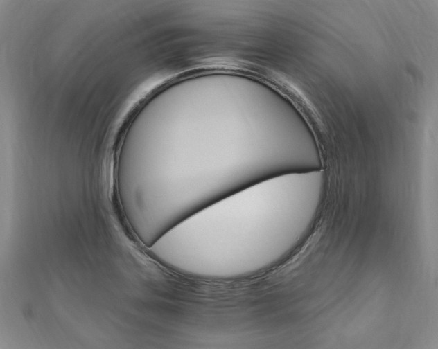 X0000110891323200906180958