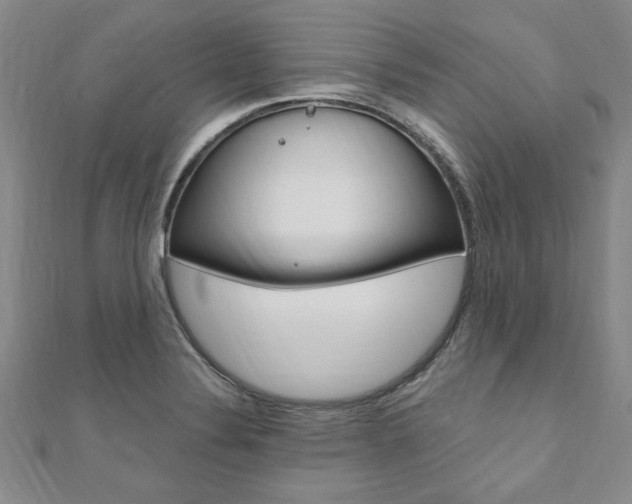 X0000110891324200906180958