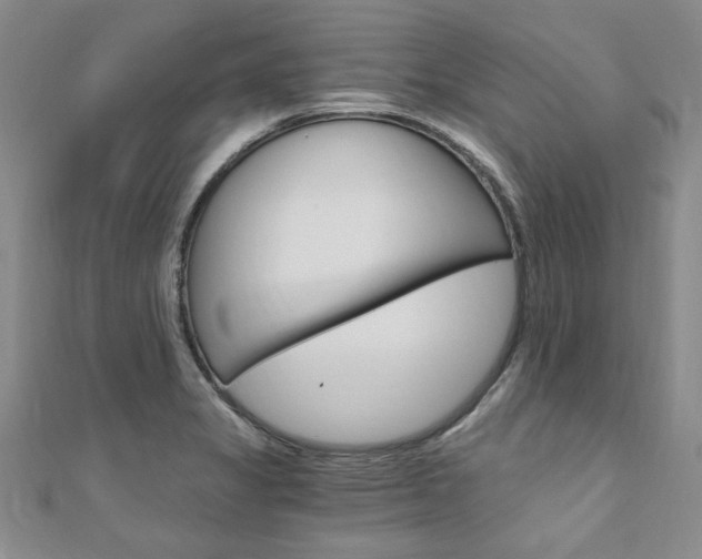 X0000110891325200906180958