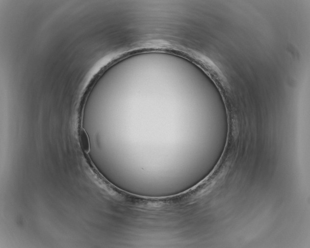 X0000110891326200906180958