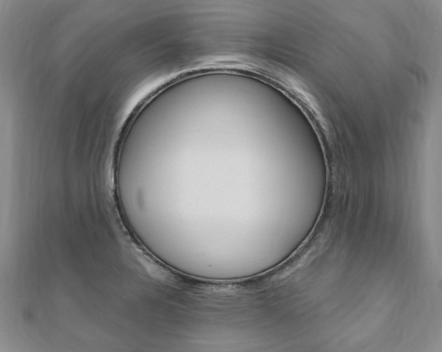 X0000110891328200906180958