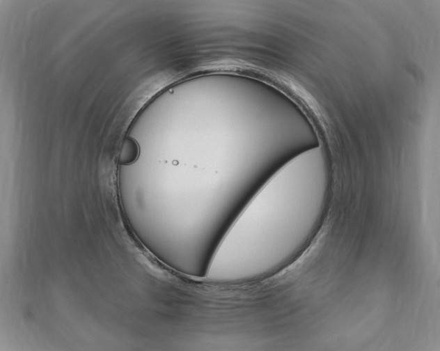 X0000110891329200906180958
