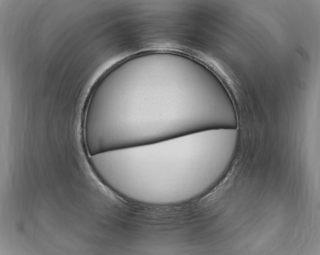 X0000110891331200906180958
