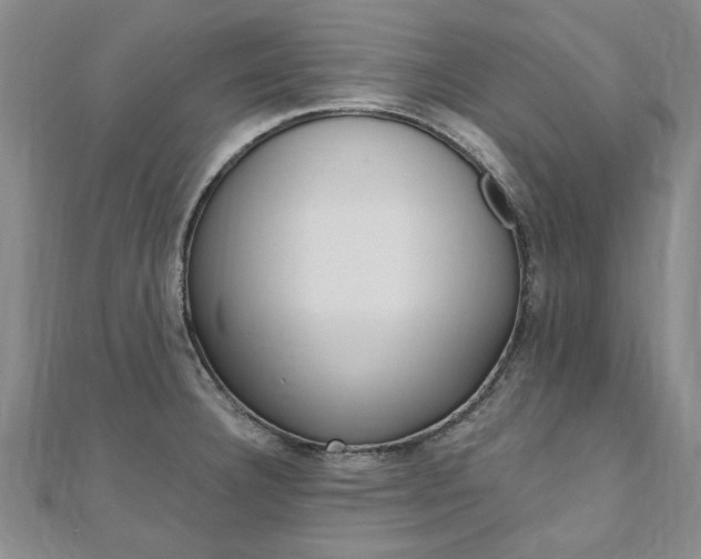 X0000110891332200906180958