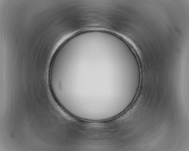 X0000110891333200906180958