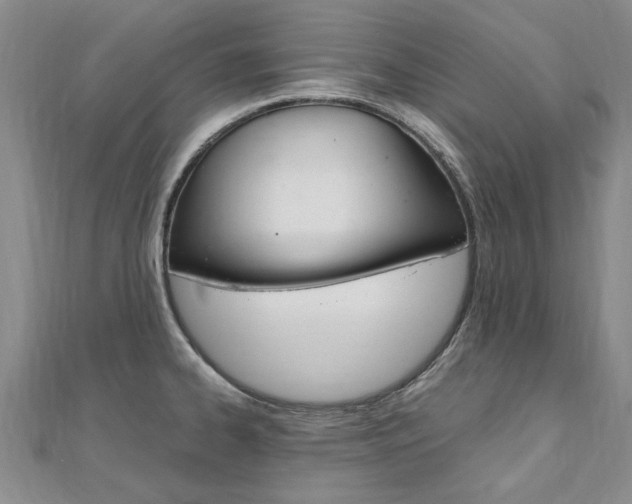 X0000110891334200906180958