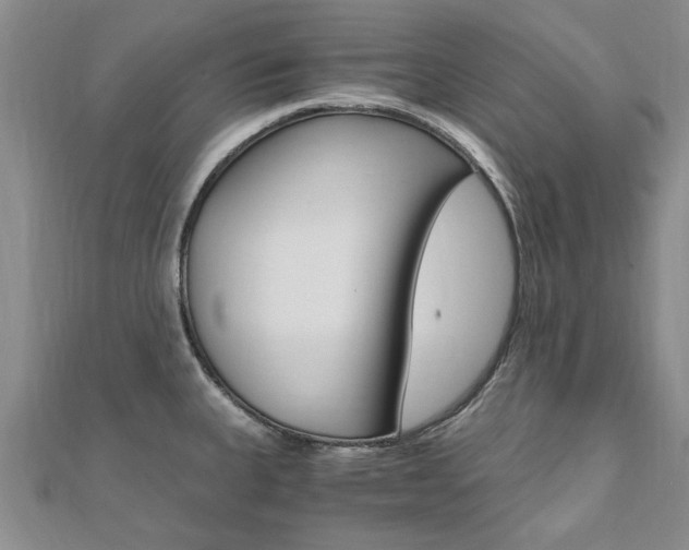 X0000110891335200906180958