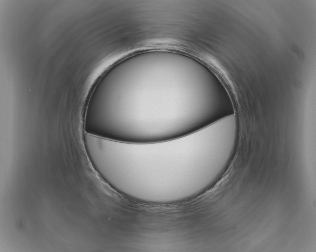 X0000110891336200906180958