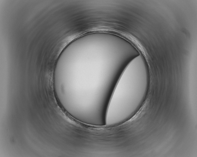 X0000110891337200906180958