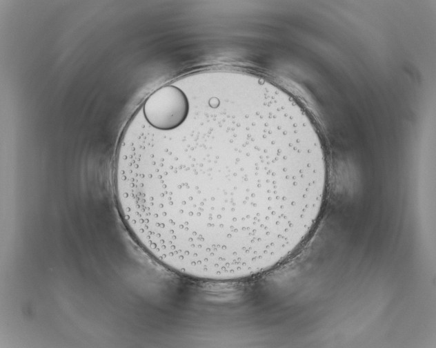 X0000110891338200906180958