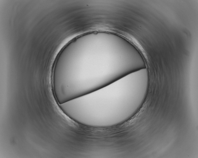X0000110891339200906180958