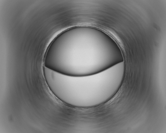 X0000110891340200906180958